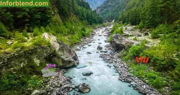 “River rock landscaping pathway with greenery, dry river bed, and outdoor lighting.”